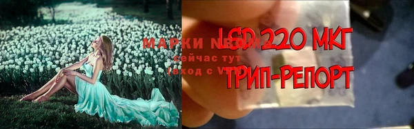 шишки Нефтегорск