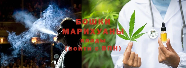 стафф Новозыбков