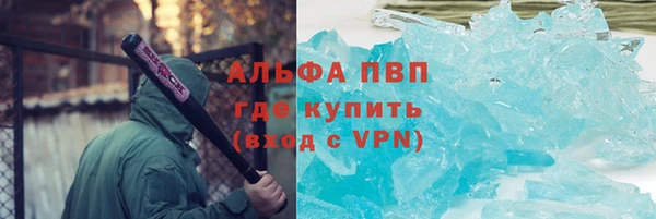 стафф Новозыбков
