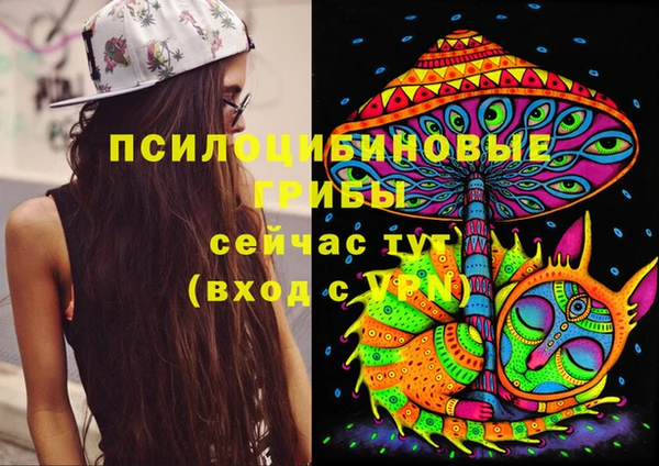 a pvp Дубна
