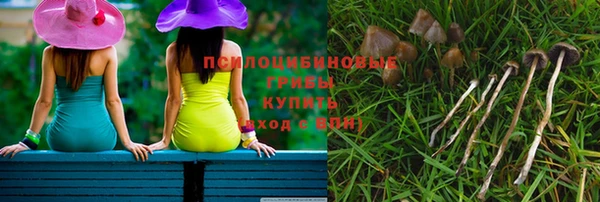 шишки Нефтегорск