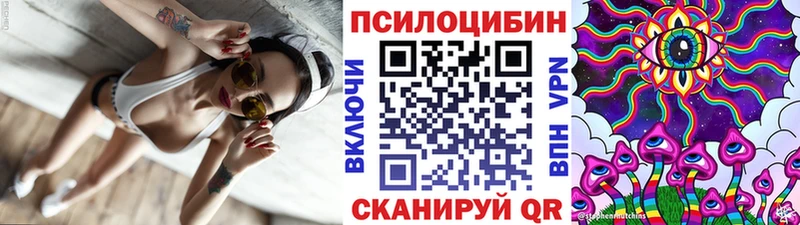 Псилоцибиновые грибы Cubensis Калач